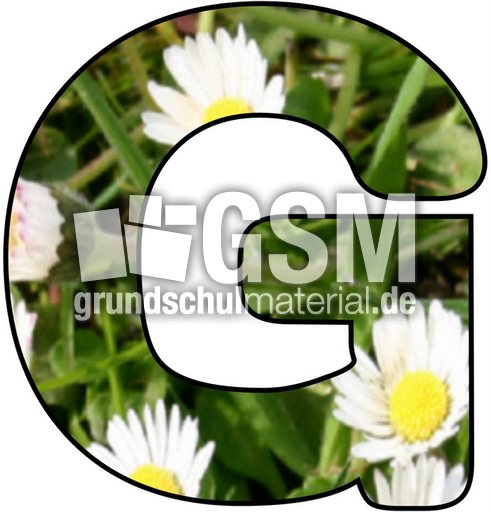Blumenbuchstabe-G.jpg